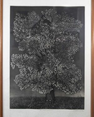 El arbol de Guacarí