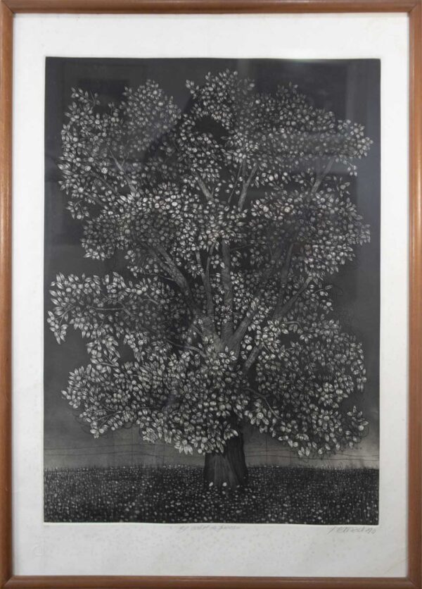 El arbol de Guacarí